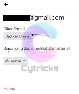 Ubah Email Jadikan Utama