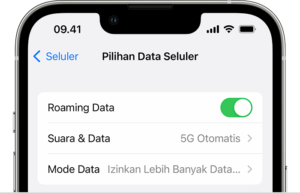 cara mematikan roaming data di Android